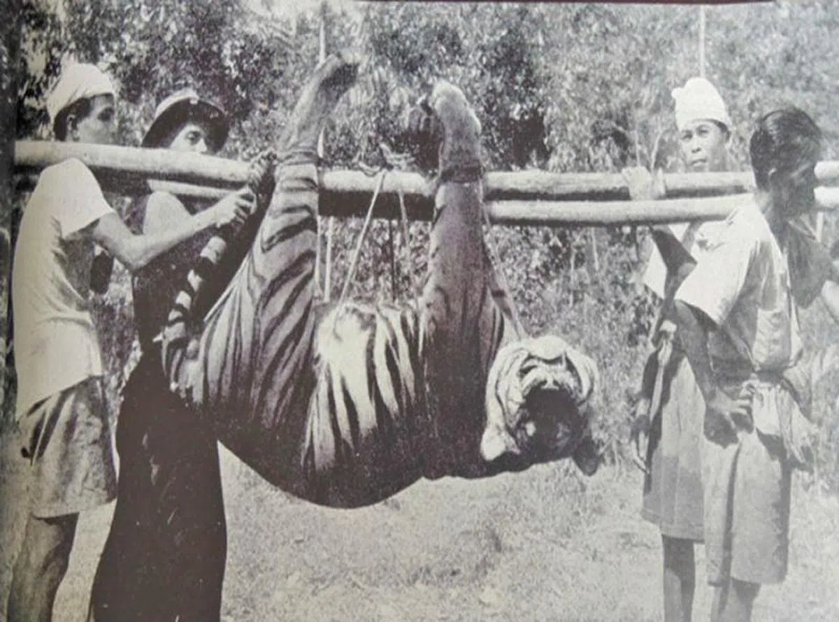 （自然学会保育委员会主席梁国平面簿）