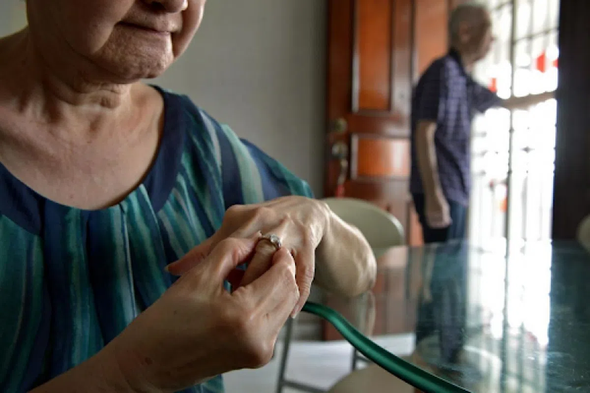  （海峡时报示意图） 