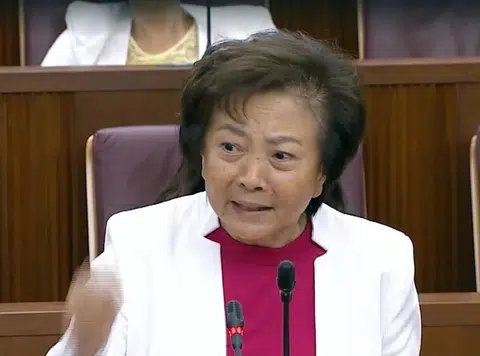 义顺集选区议员李美花在国会上讲的小故事引发争议。（截自视频）