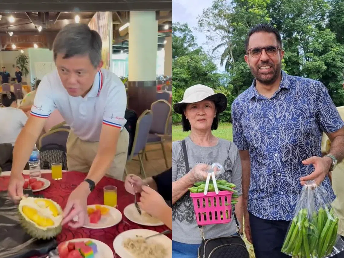 左图为人民行动党中央执行委员会助理秘书长陈振声在马来西亚“带团”时为居民开榴梿。右图为工人党秘书长毕丹星在马国和居民一起摘蔬菜。（取自陈振声脸书、毕丹星脸书）