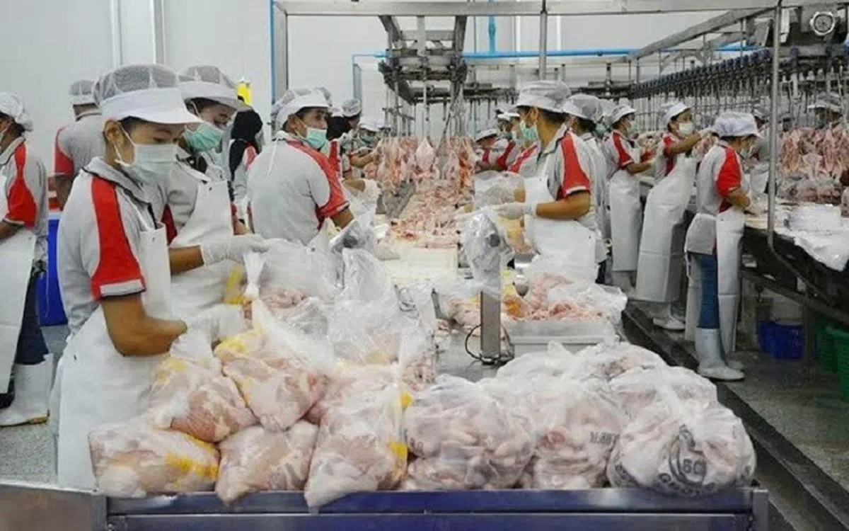 2020年，我国从泰国进口了1220万美元的禽肉，占我国进口禽肉总额的4.49%。（芭堤雅邮报）