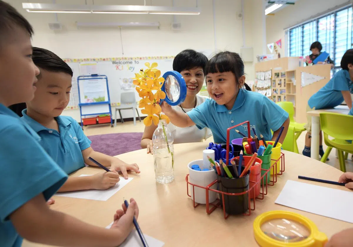  本地教育费用近年来显著提高。（每日新闻） 