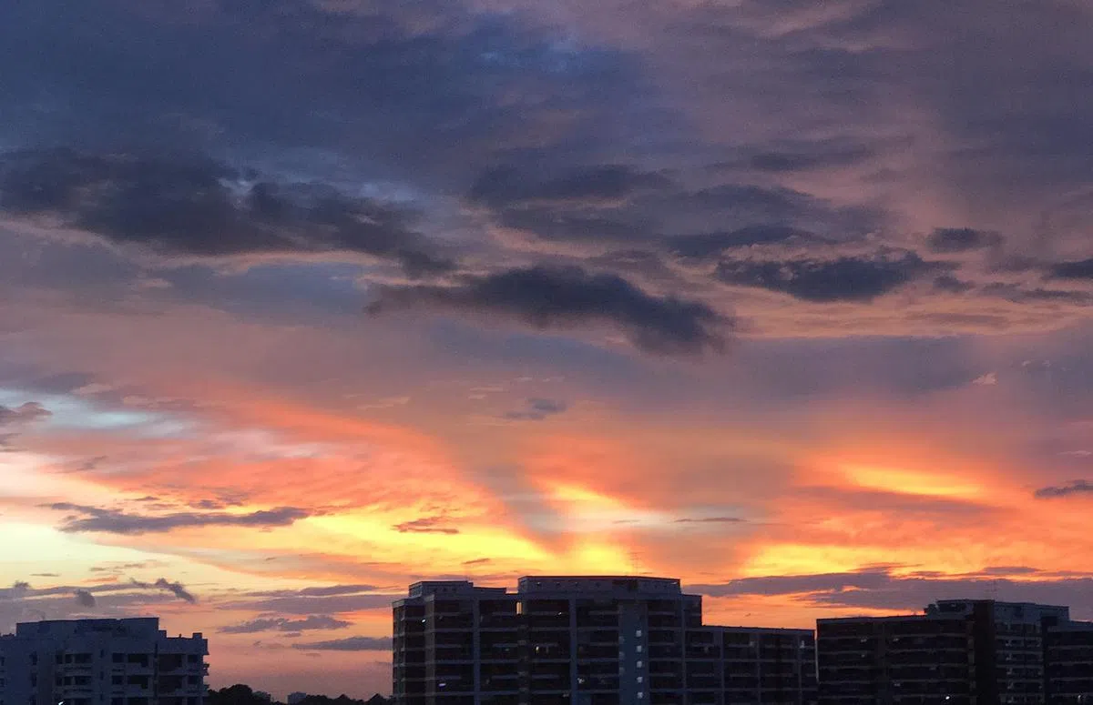  （2016年12月30日谢静怡摄） 