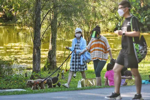 疫情期间出门散步。（海峡时报）