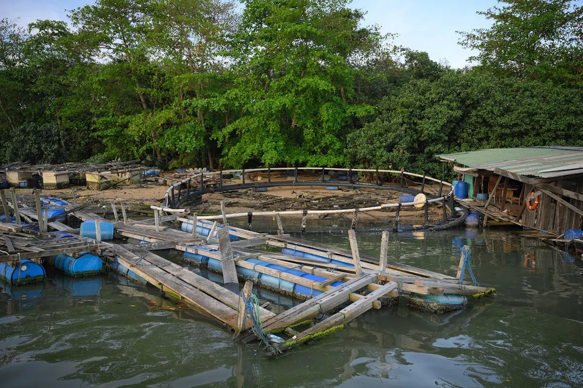 即使停业了，也要收拾干净啊！（海峡时报）