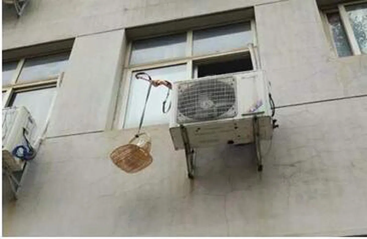  （互联网） 