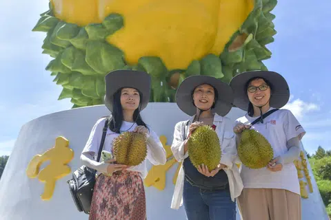 中国的榴梿爱好者手捧海南榴梿合影。（中新社）