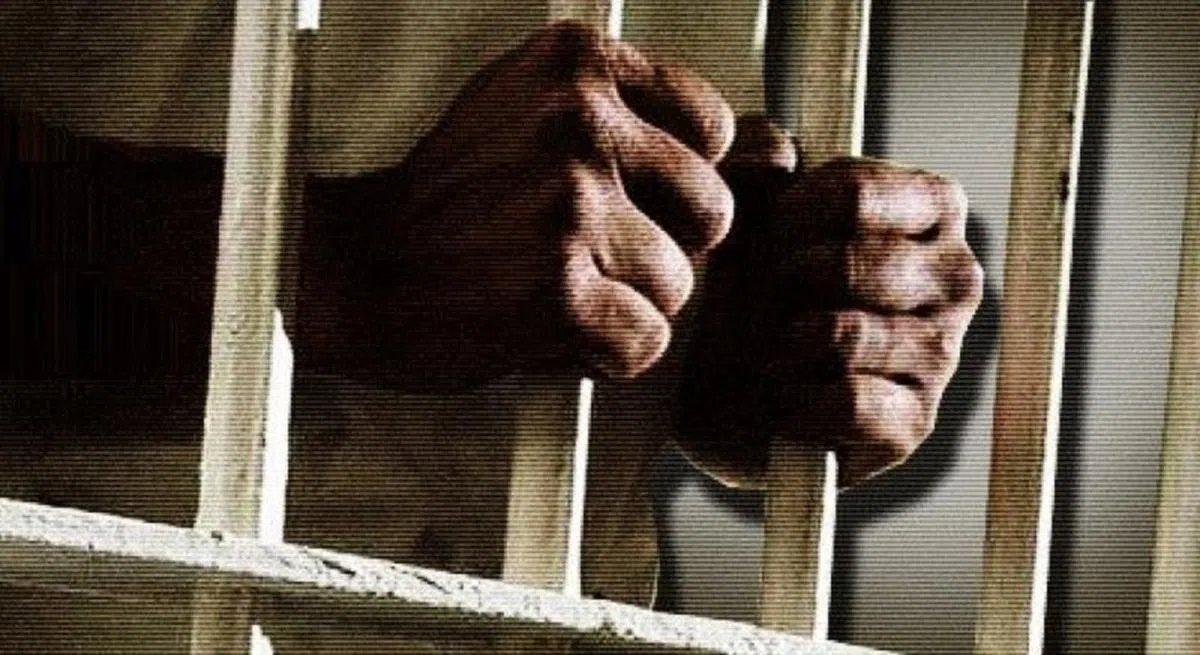  纳都最终被判坐牢18个月。（互联网） 