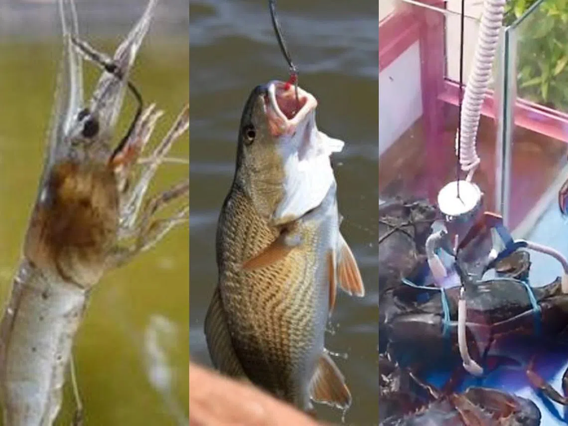 （侯佩瑜制图）