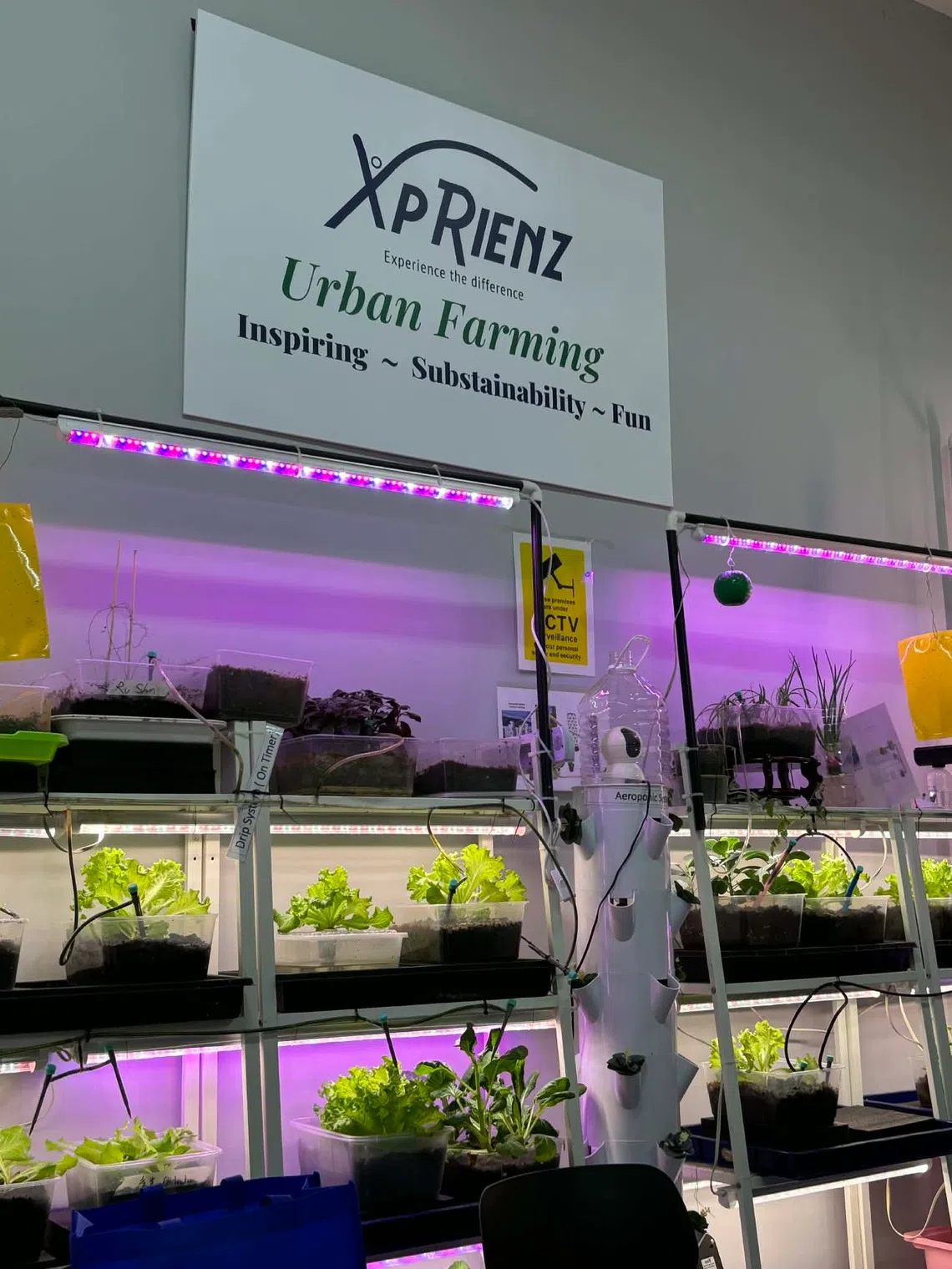 培训机构XpRienz。