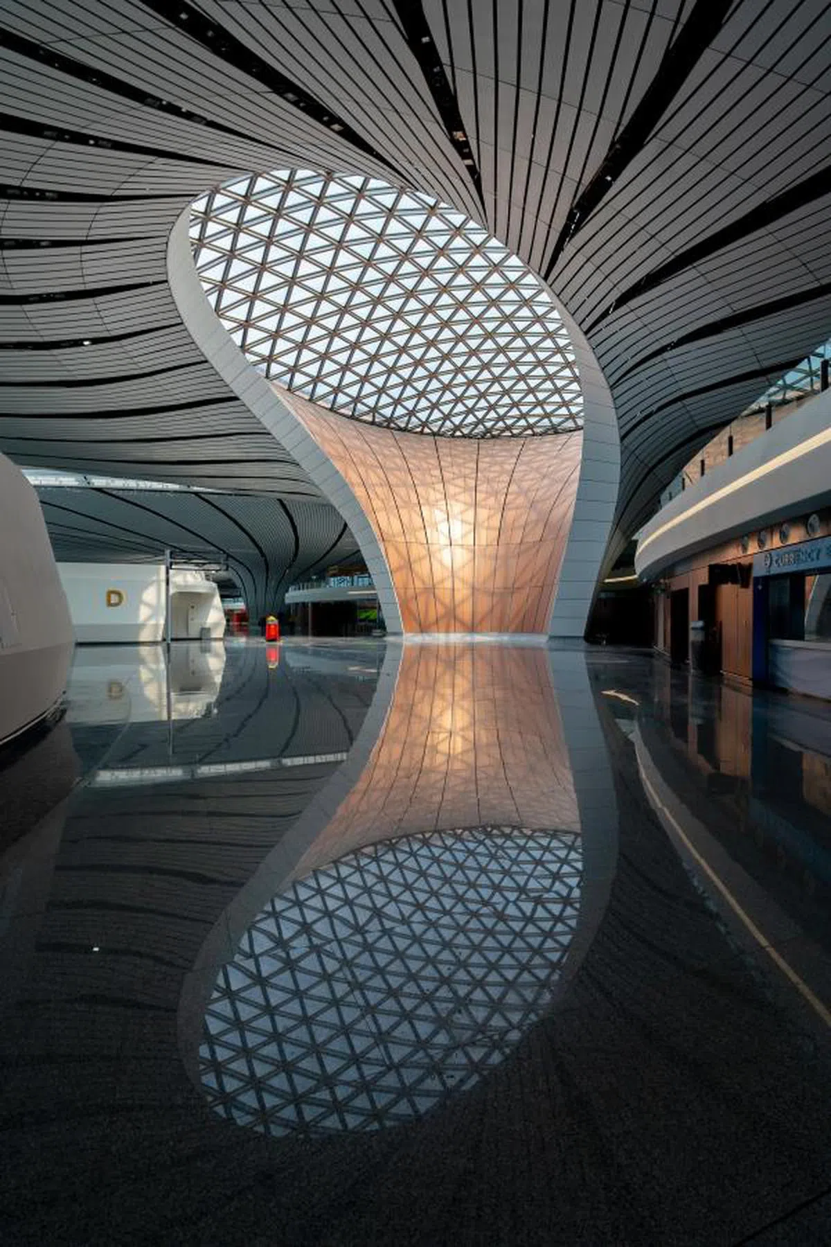  （Dezeen） 