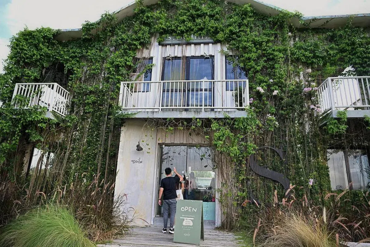 位于奥斯汀（Austin）一带的Soil JB咖啡馆，外观仿佛偶像剧的场景。（海峡时报）