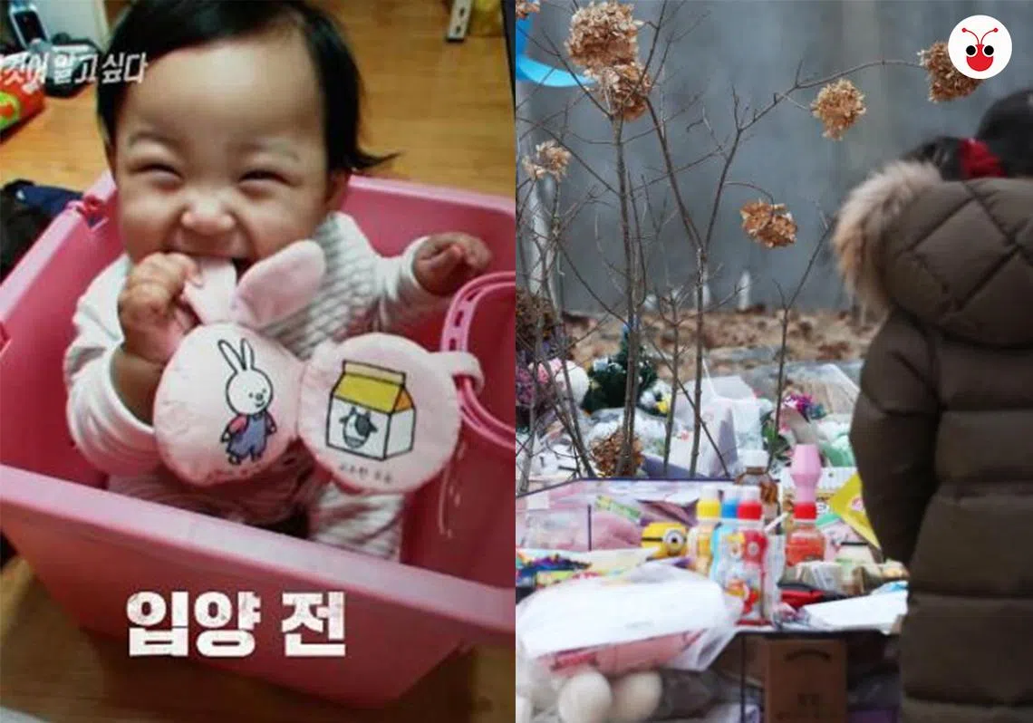 韩国京畿道杨平郡一座埋葬小郑仁的公墓，放满了民众致哀的鲜花和玩具。（SBS/韩联社/红蚂蚁制图）