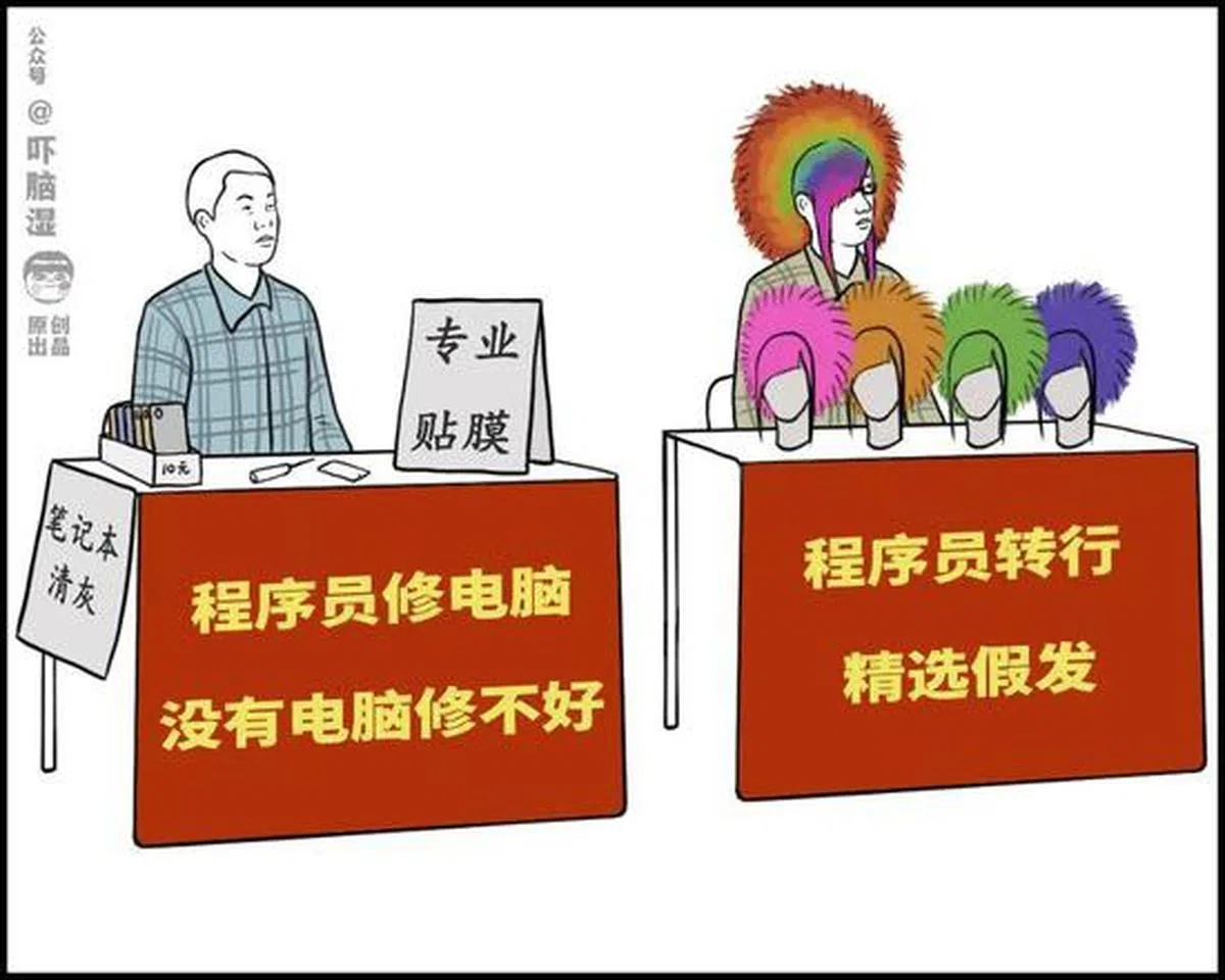  程序员修电脑，常年秃头的开始卖起了假发。（吓脑湿） 