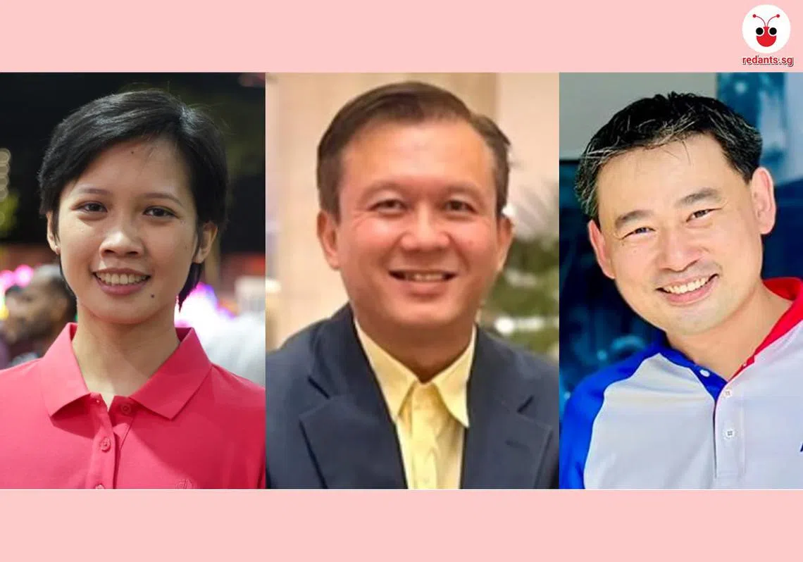 （左起）沈丽芬、李宏壮和洪子扬博士，最近频繁在社区活动中露面。（红蚂蚁制图）