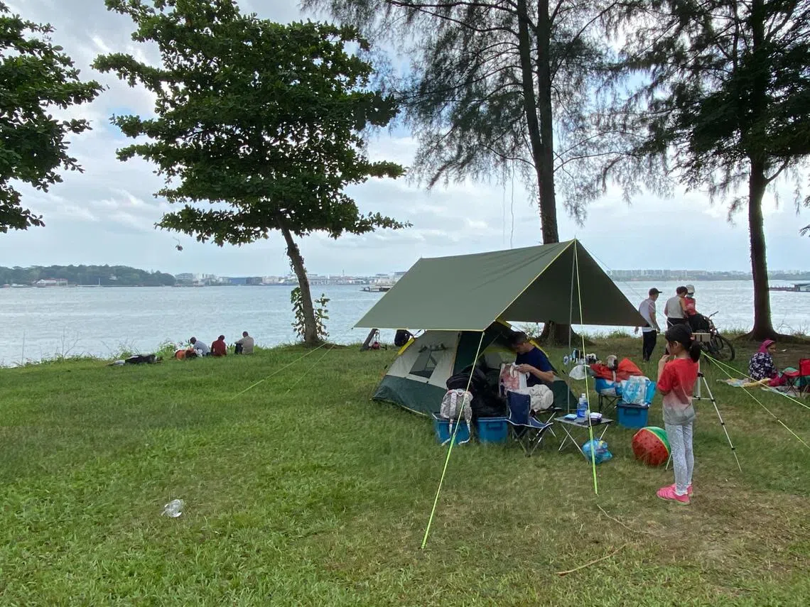 露营在新加坡越来越受欢迎。（叶孝忠摄）