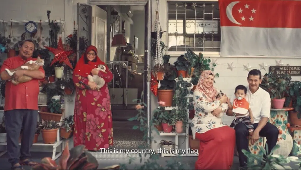 这是我的国家，这是我的国旗。（视频截图）