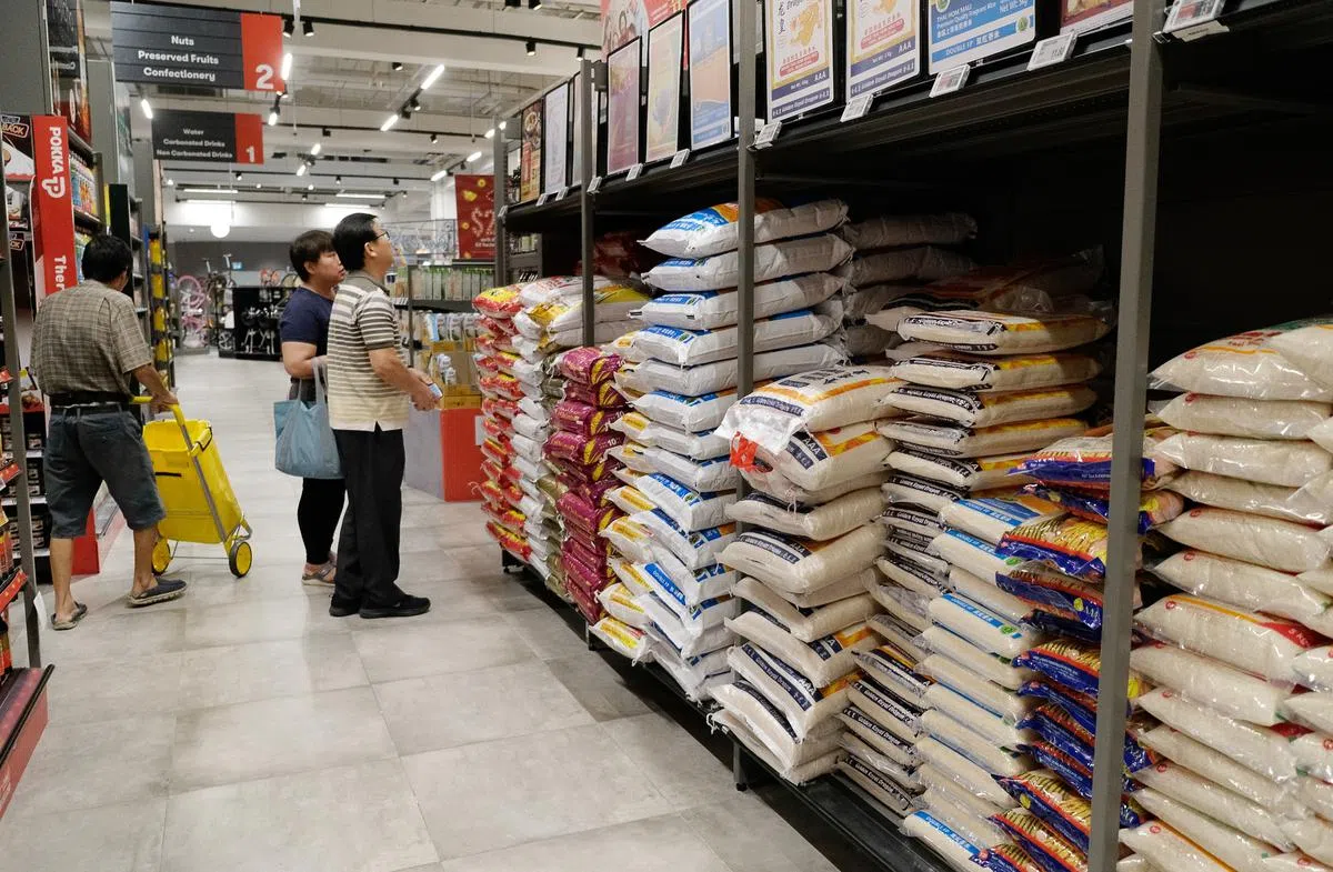  2020年财政预算案提出多项补贴方案。（联合早报） 