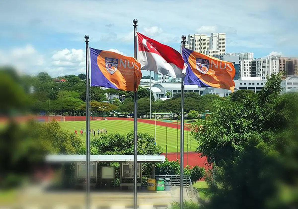  （新加坡国立大学面簿） 