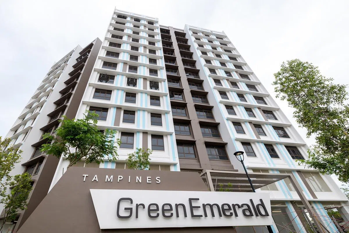 Tampines GreenEmerald是该区唯一完工的预购组屋项目，但居民最早在2月23日才领到钥匙，来不及在2月1日前将住址更换至该处。（联合早报）