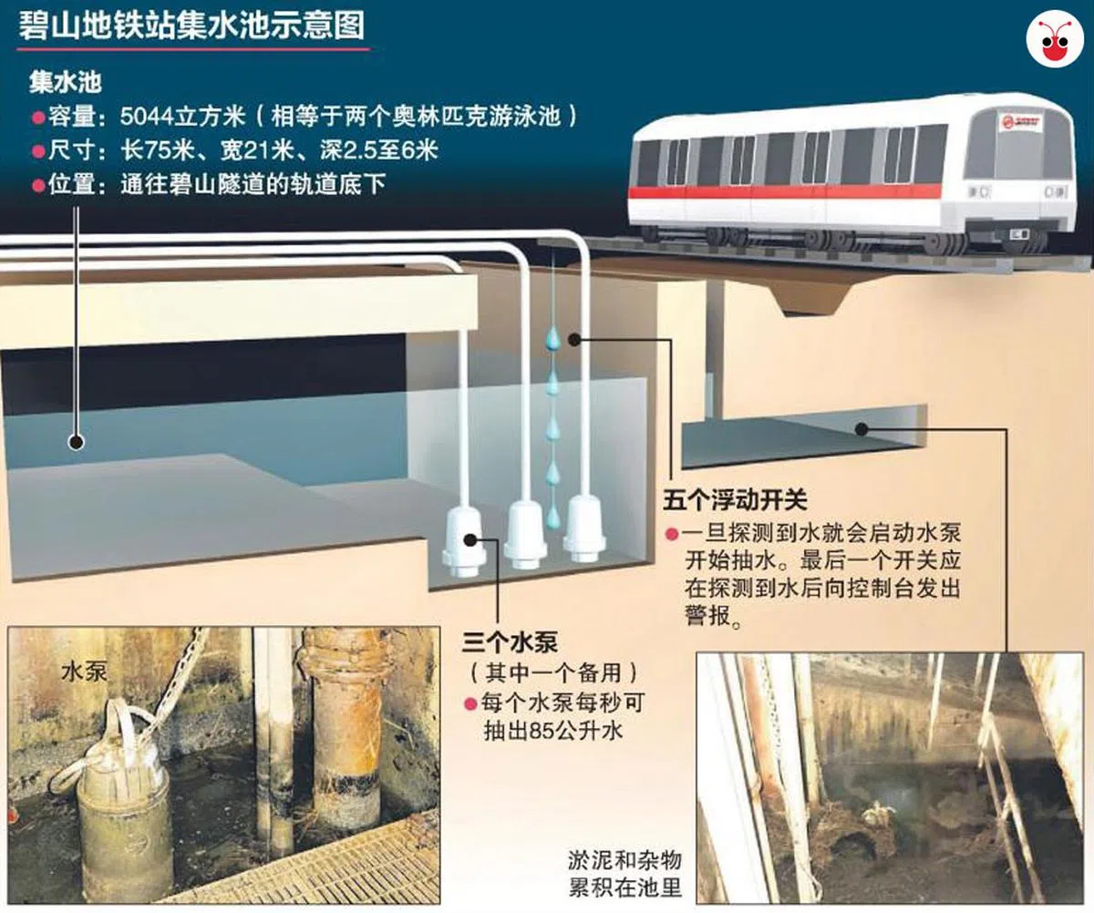  （联合早报） 