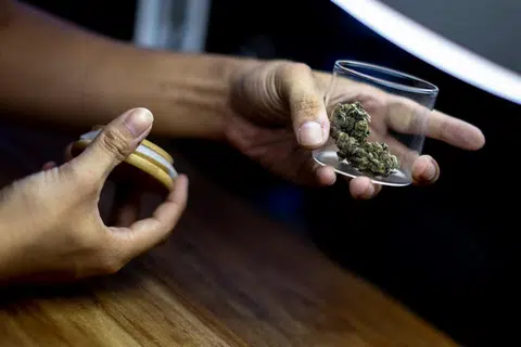 已加工好可食用的大麻如今在泰国路边可轻易买到。（路透社）