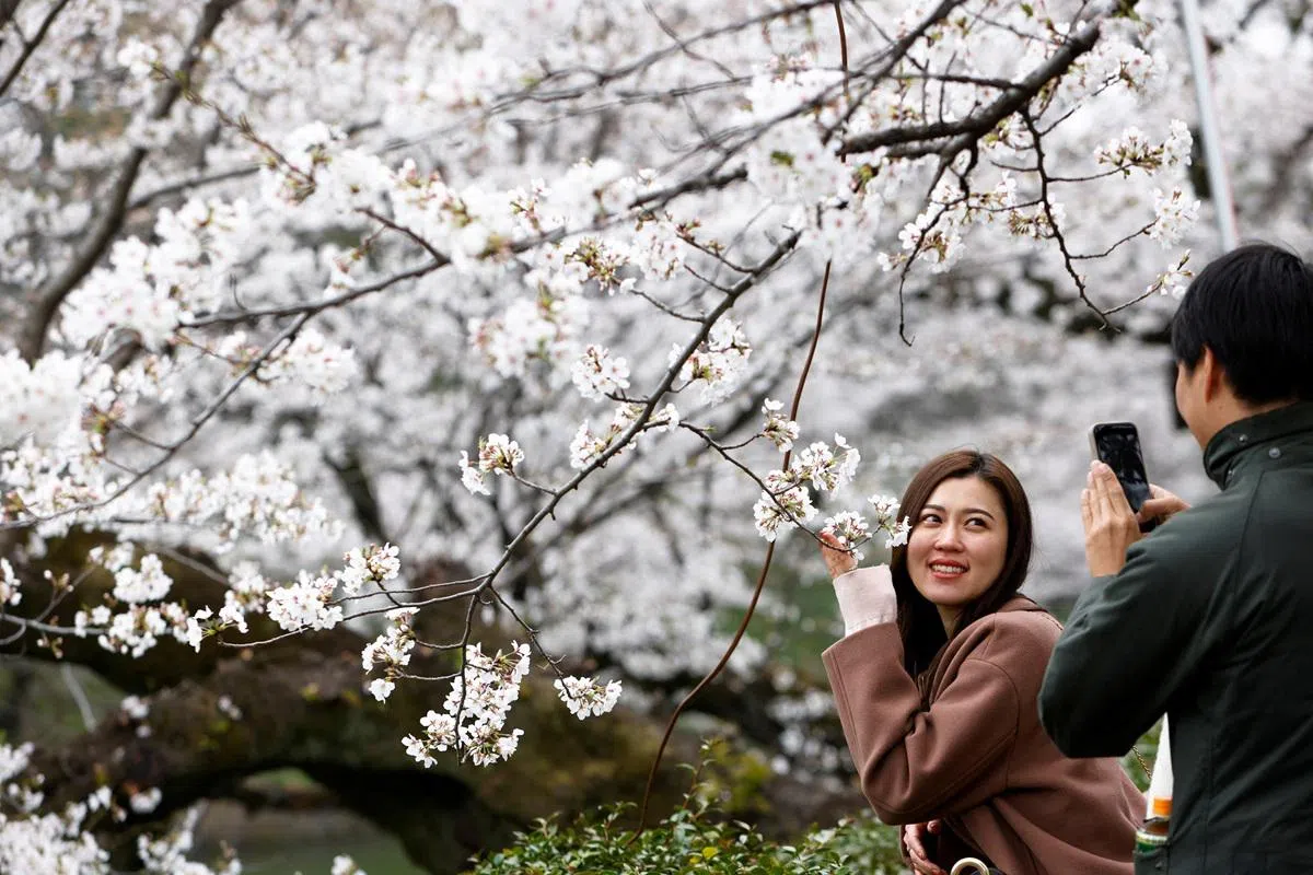 末日预言无阻日本持续创下游客人数新高。（路透社）