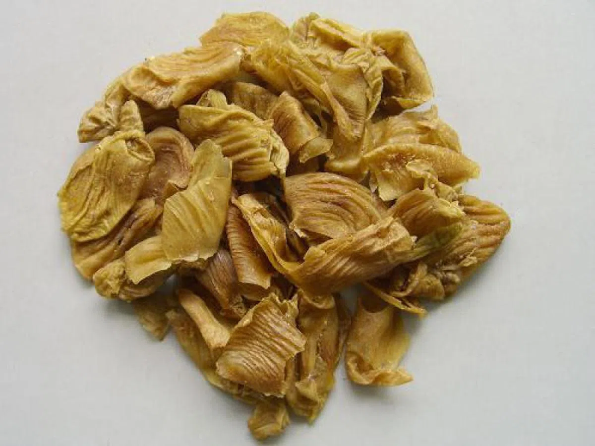 鸡内金。（联合晚报）