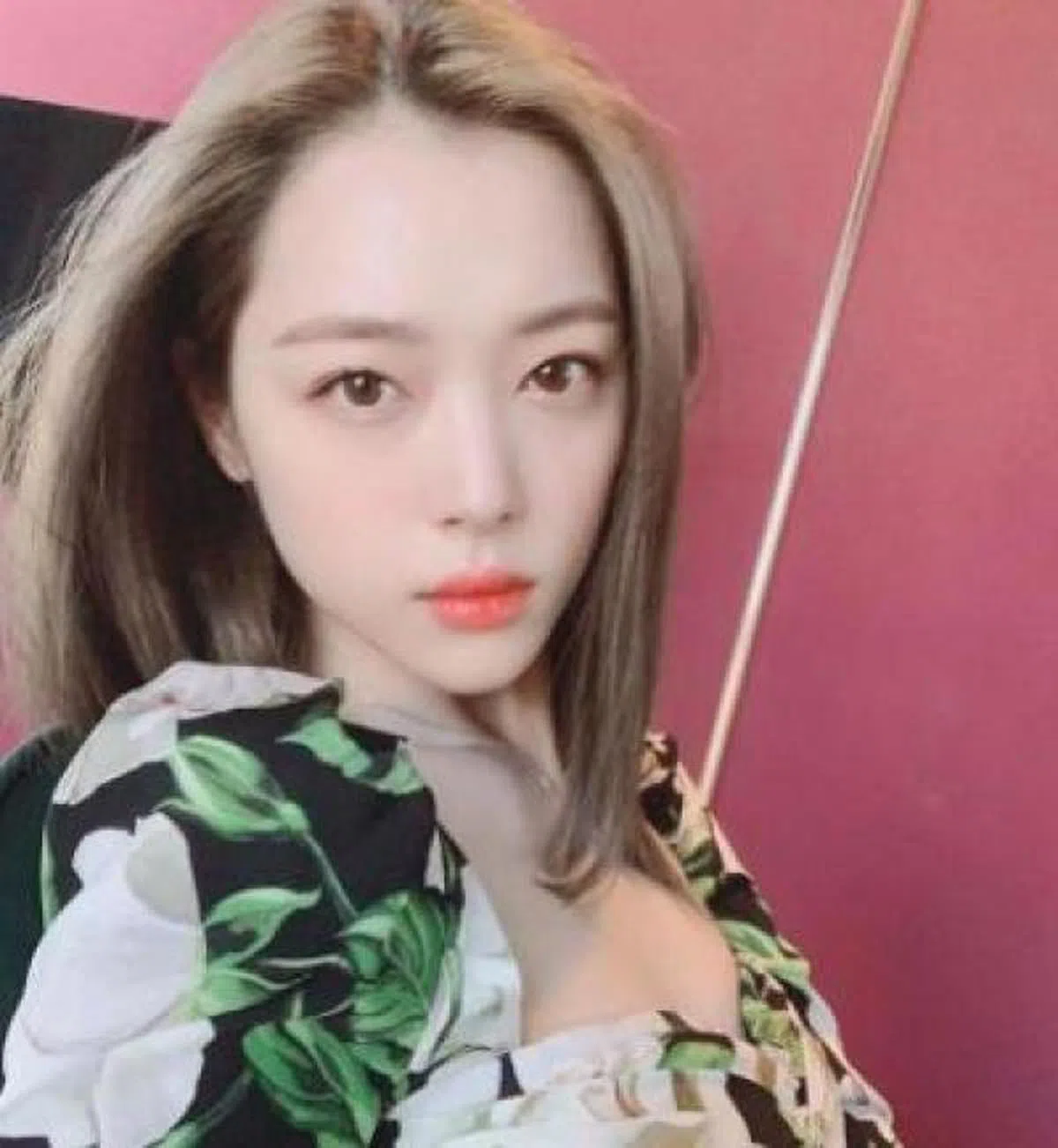  （雪莉Instagram） 