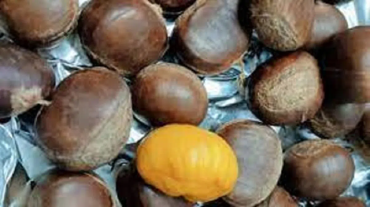 烤栗子。（互联网）