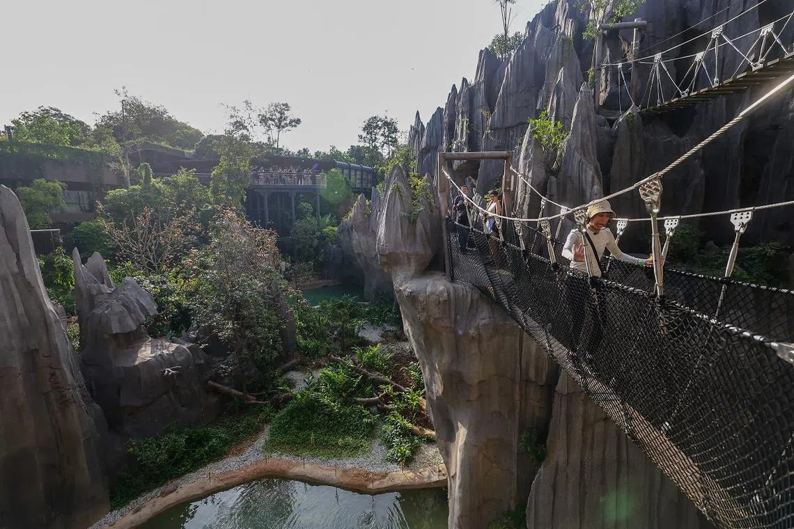 雨林探险园的访客可以沿着七种不同地势的路线，观赏其中展示的36个物种。（联合早报）
