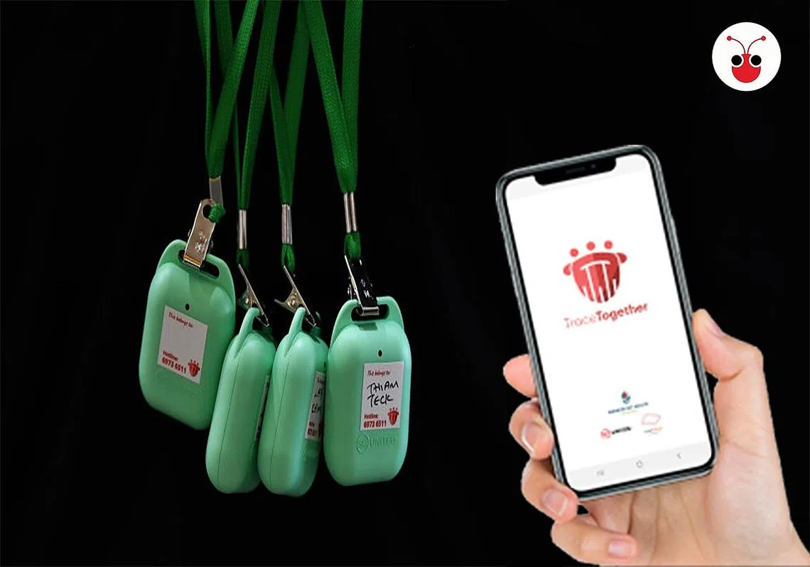 新加坡“合力追踪”计划，包括携手防疫器以及手机应用。（红蚂蚁制图）