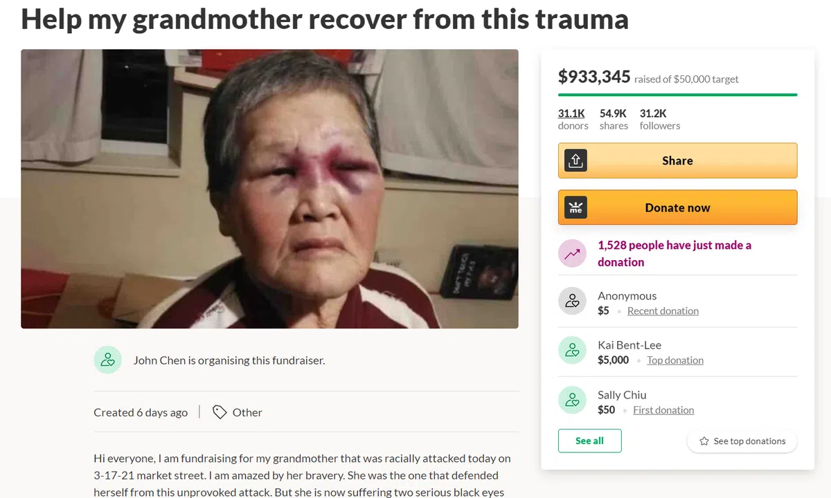  （Gofundme官网截图） 
