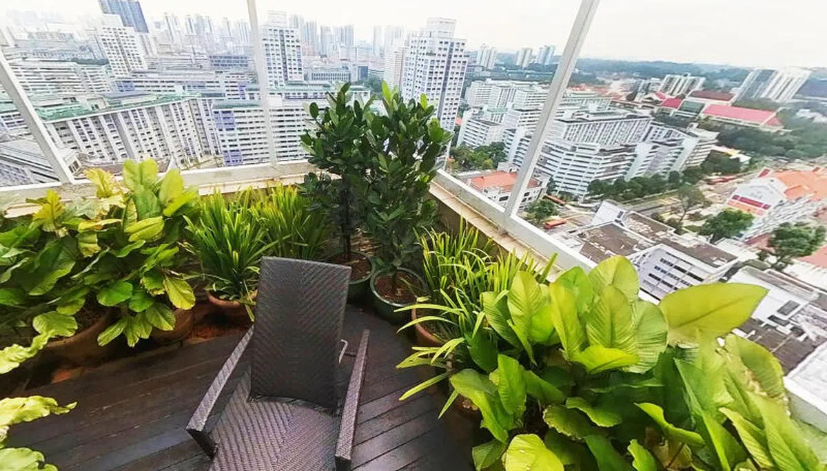 有大型屋顶露台的组屋单位在本地非常少见，主要集中在碧山。（新明日报）