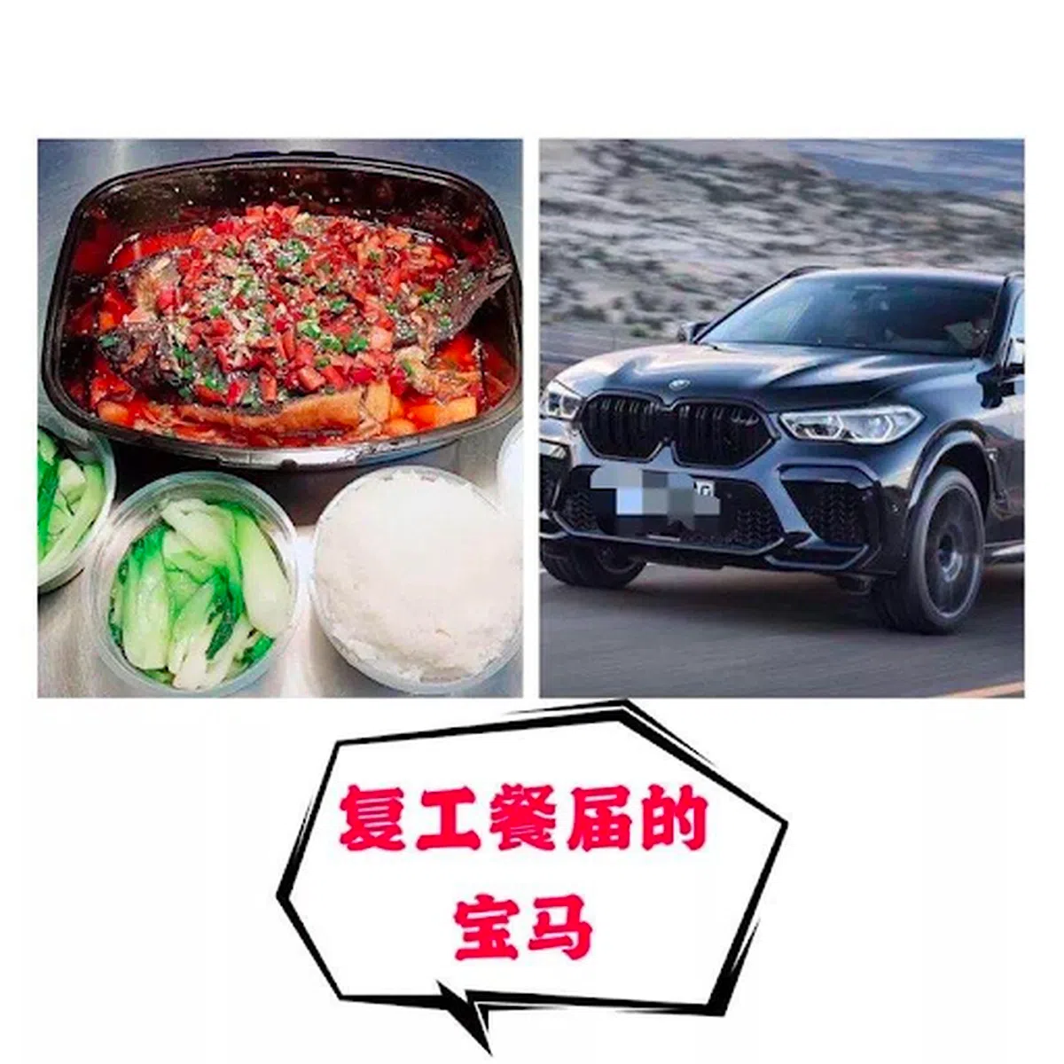  （大猪蹄子研究所） 