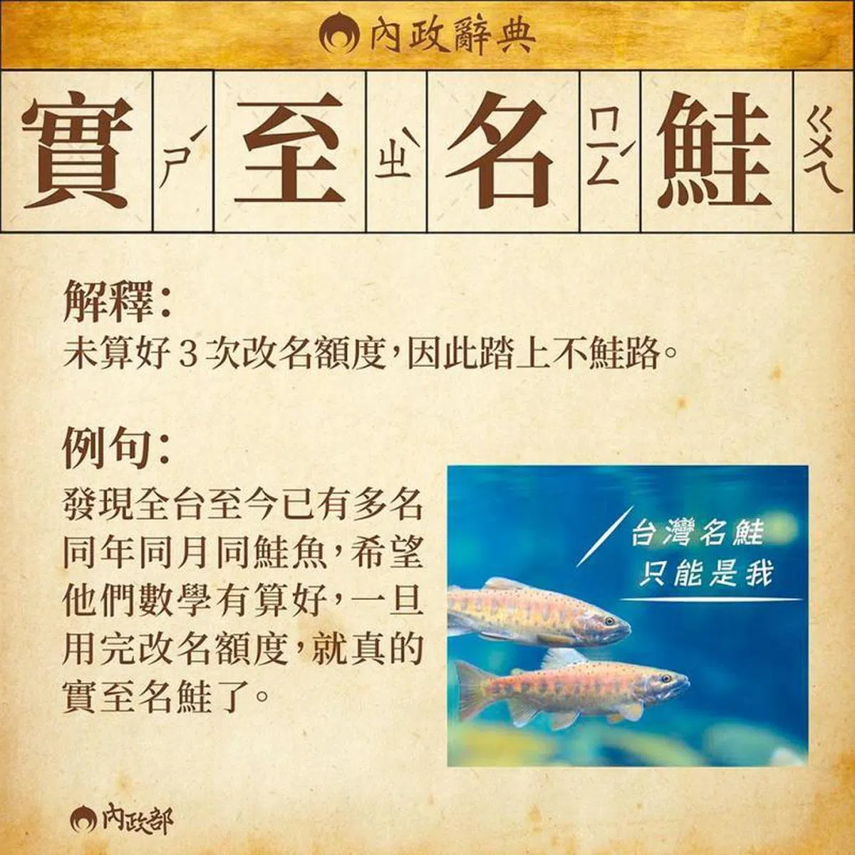  （互联网） 