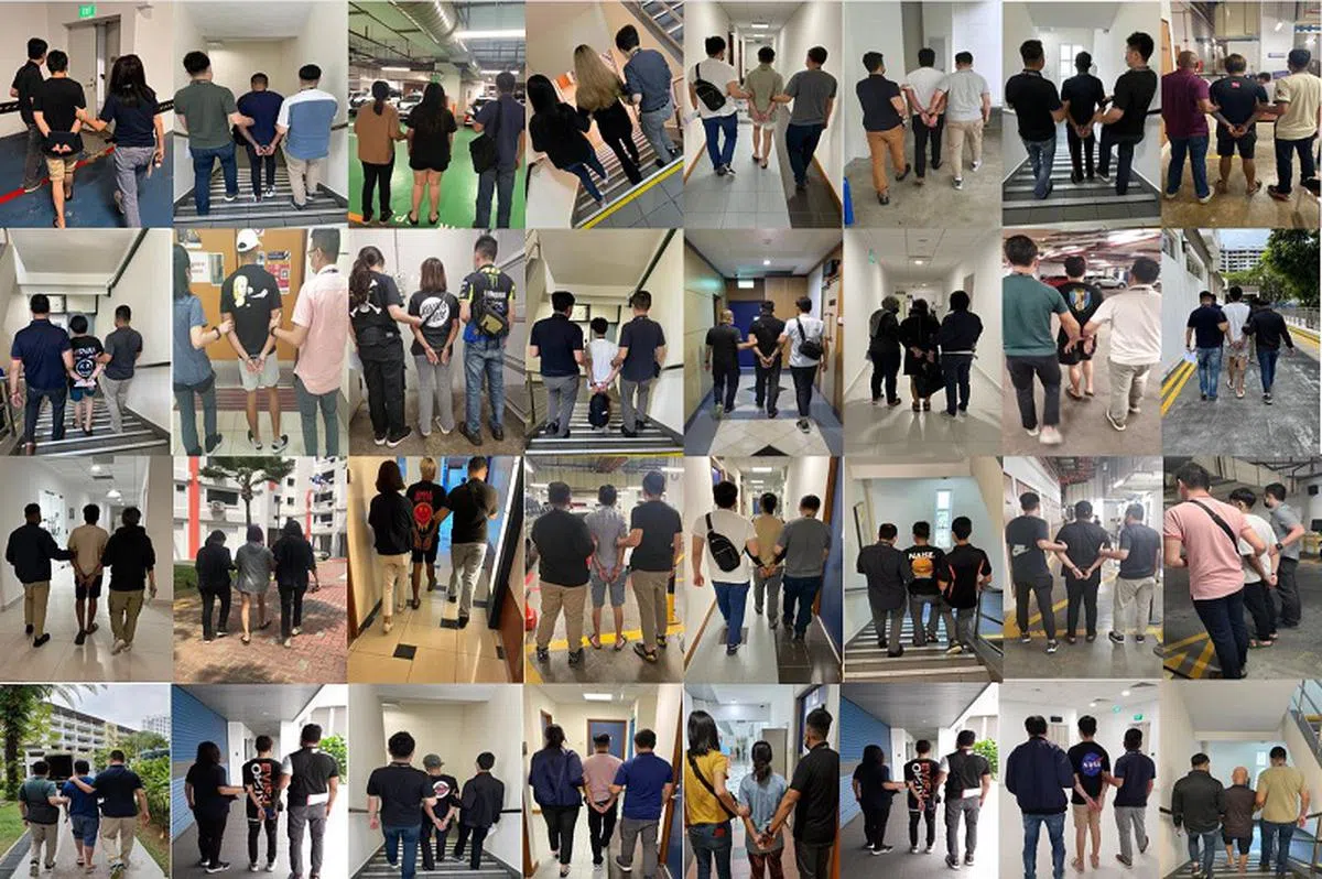 上个月共有255人因涉嫌参与超过1200起诈骗案，当中有一些人向骗子出售Singpass信息。（新加坡警方部队提供）