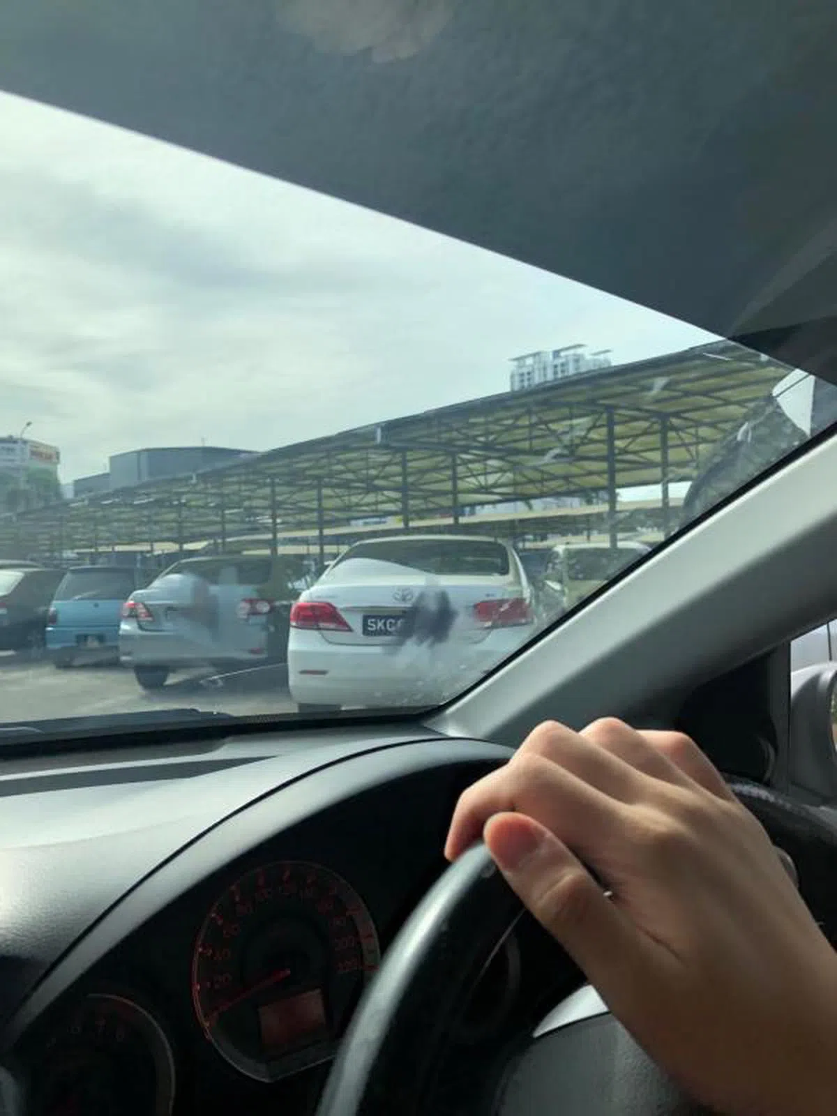  （Carmen Chew面簿 ） 