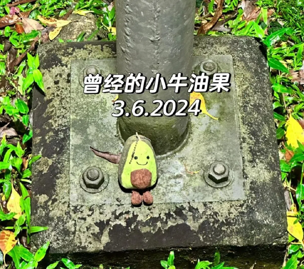痴痴地等待主人。（X/Singaporose）