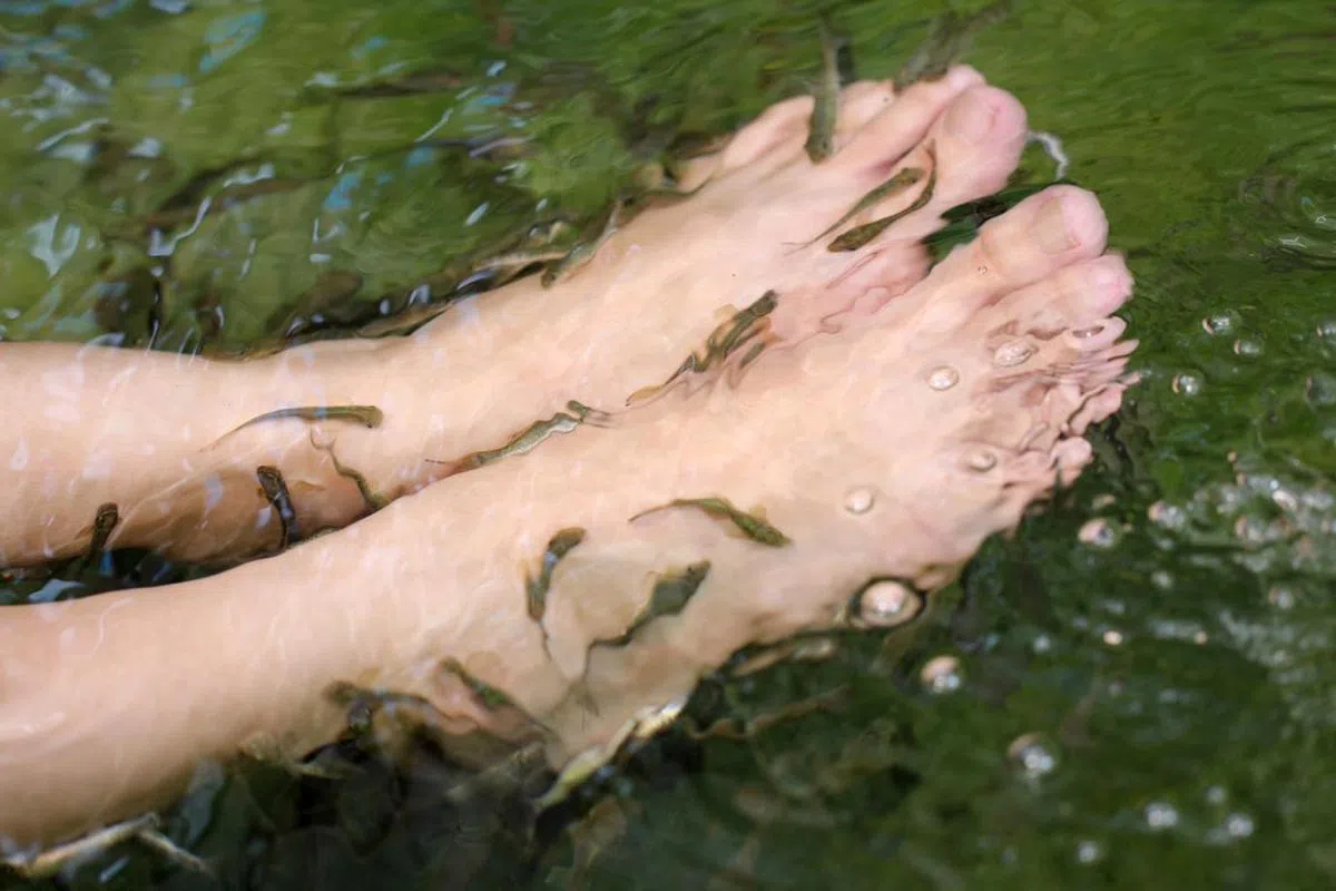  （仟湖渔场官网） 