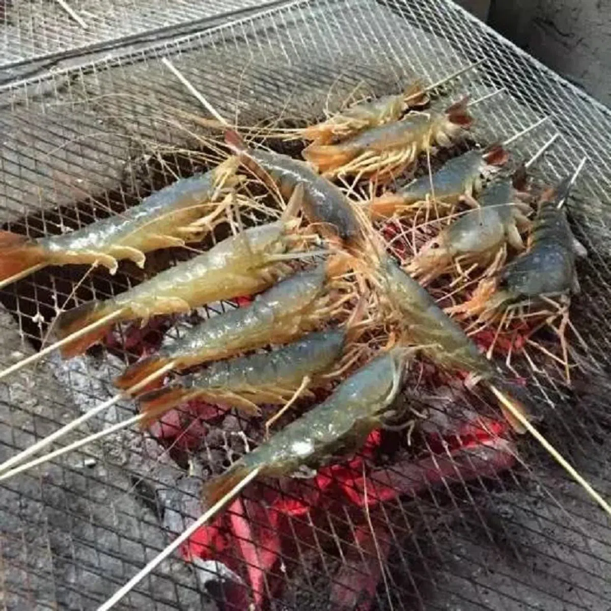  （互联网） 