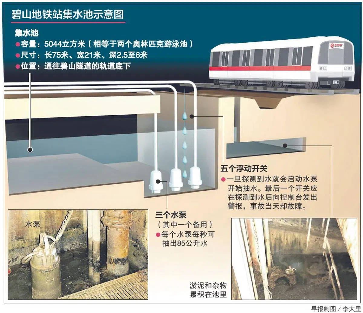 （早报示意图） 