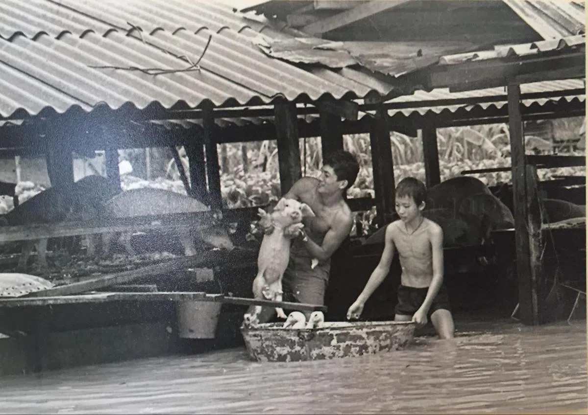 波东巴西处于低洼地区，易闹水患。1954年、1969年和1978年的水患最为严重。（etsyexplores.com）