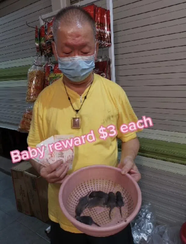 摊贩抓到一“窝”小老鼠。