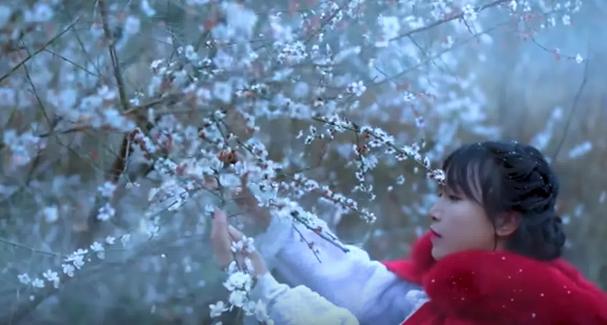  皑皑白雪中披着红色斗篷的李子柒，像是活在古装剧里的女主角。（李子柒视频截图） 