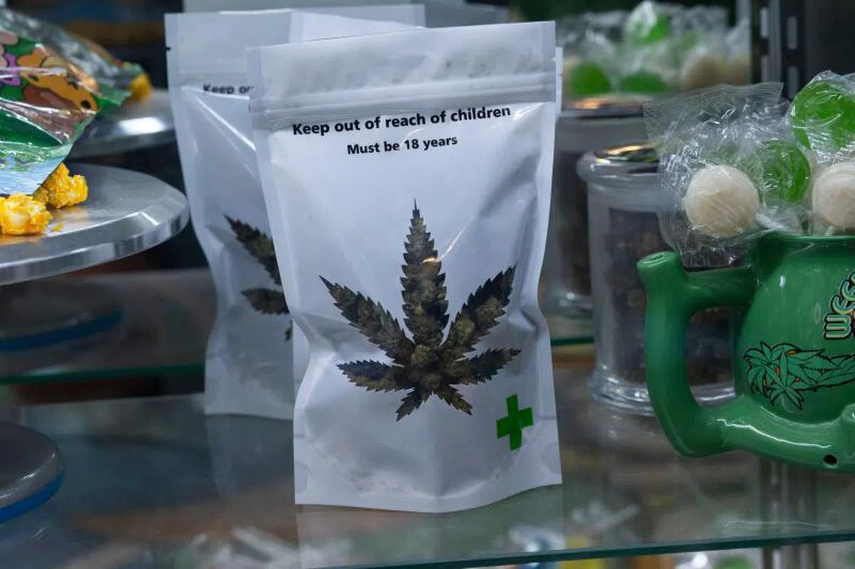  大麻和大麻相关物质已从《1961年麻醉品单一公约》的附表四中移除。（法新社） 