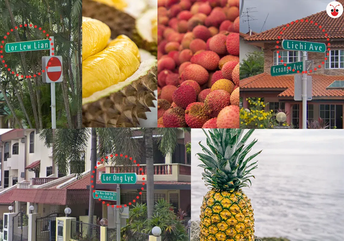 这些街道居然以水果命名。（谷歌地图 互联网）