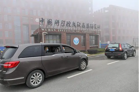 报告作出了病毒“极不可能”从武汉病毒研究所的结论，但这个结论却因为专家取得数据的困难而饱受质疑。（法新社）