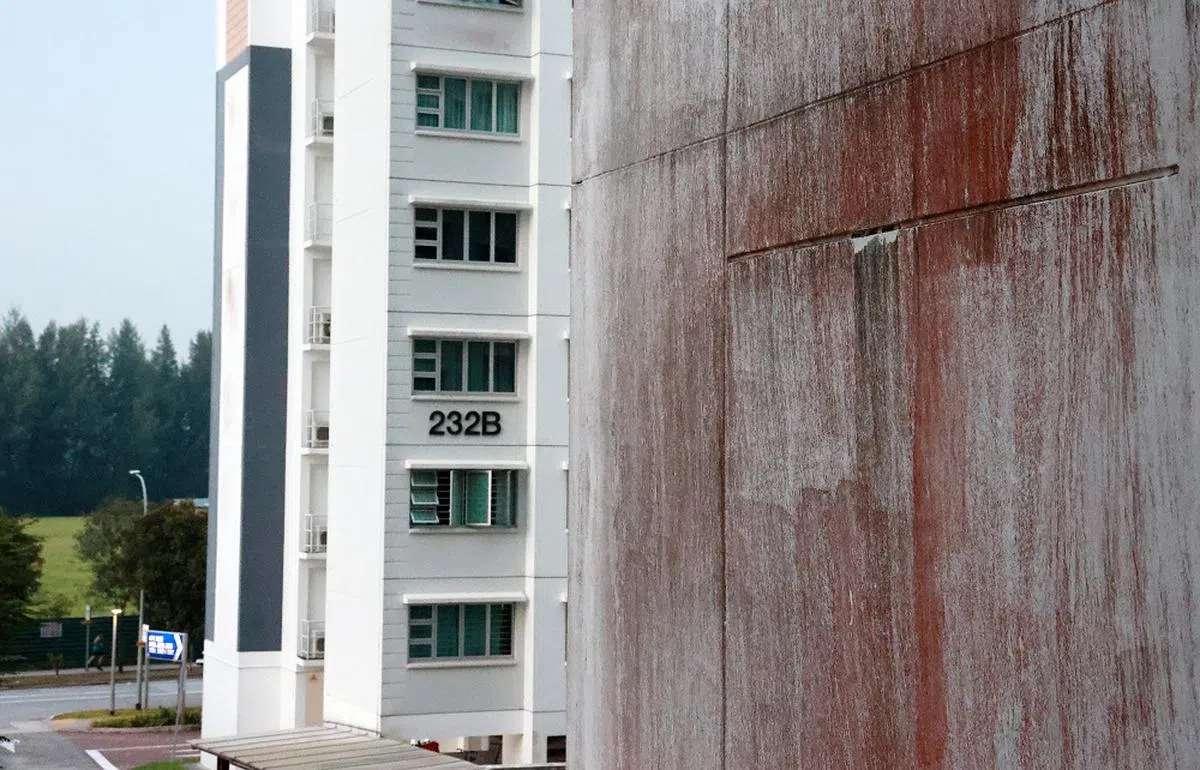 这是霉渍，不是血渍。（新明日报）