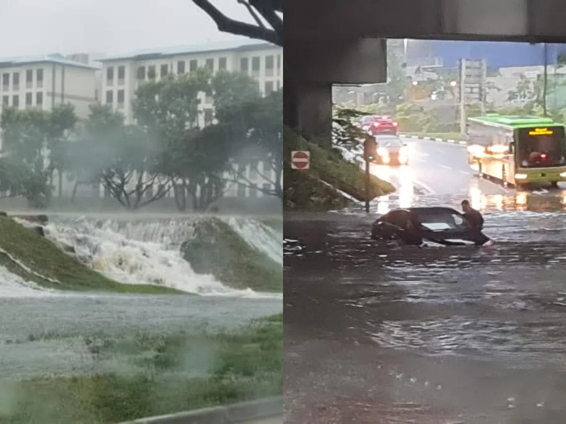 （红蚂蚁制图）